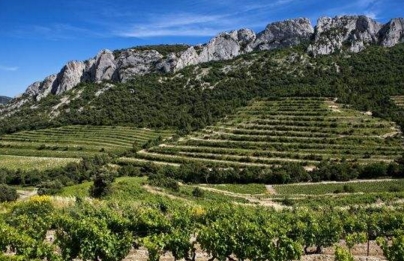 法国葡萄酒产区 罗纳河谷葡萄酒的死亡区