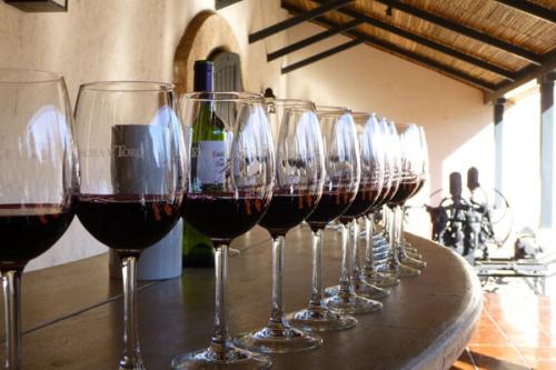 西班牙纳瓦拉葡萄酒酿造业的风向标马加那酒庄