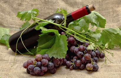 无醇葡萄酒是怎样酿造的，你知道吗？