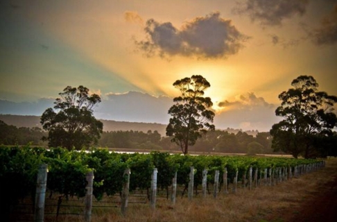 澳洲葡萄酒产区 远离城市的玛格丽特河产区
