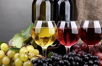 野生山葡萄怎么样酿美酒，你知道吗？