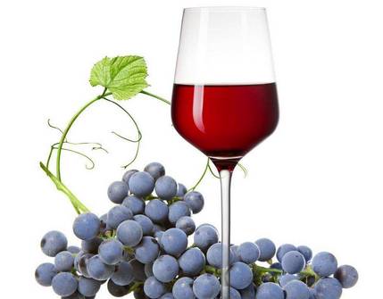 萄树要多老才能结出优质酿酒葡萄酿出好酒，你知道吗？
