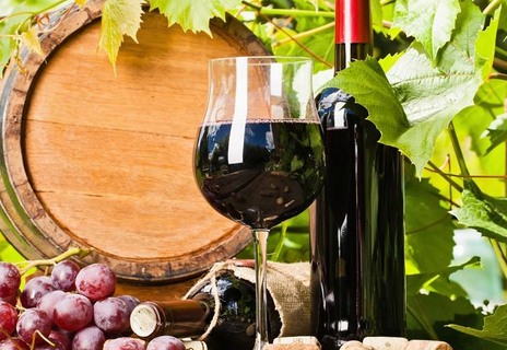 葡萄园灌溉是影响酿造美酒的决定因素吗？