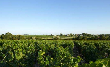 法国葡萄酒产区 领略“葡萄酒王国”的美妙