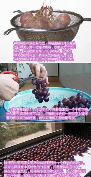 洗葡萄是一门学问，你们会吗？