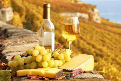 具有浓厚加泰罗尼亚文化的法国葡萄园，你想了解吗？