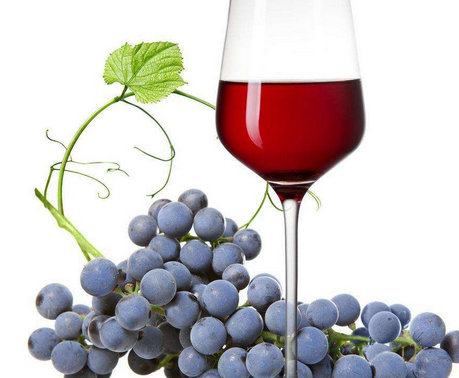 葡萄树龄越老酒质是越好的吗？