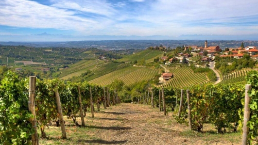 意大利葡萄酒产区 无与伦比的皮埃蒙特产区