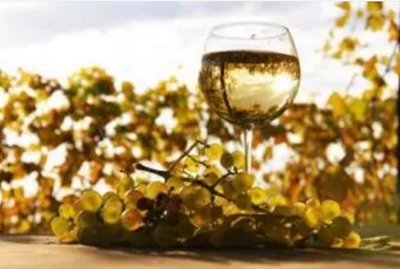 巴罗萨谷别样的葡萄酒丨想来一杯美酒致夏日的风情吗