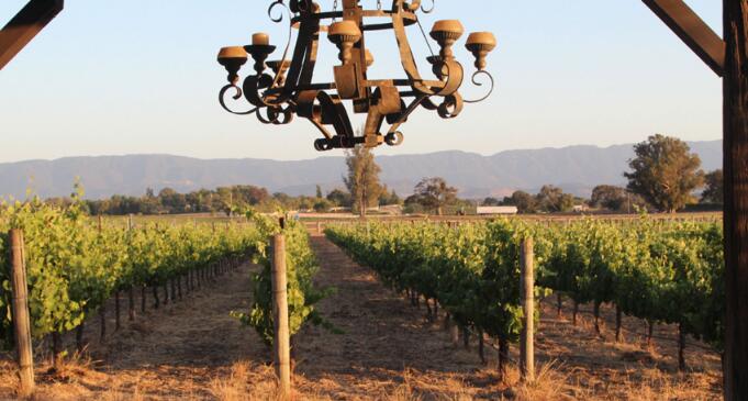 伯纳特酒庄（Bernat Winery）——加州的传统酒庄
