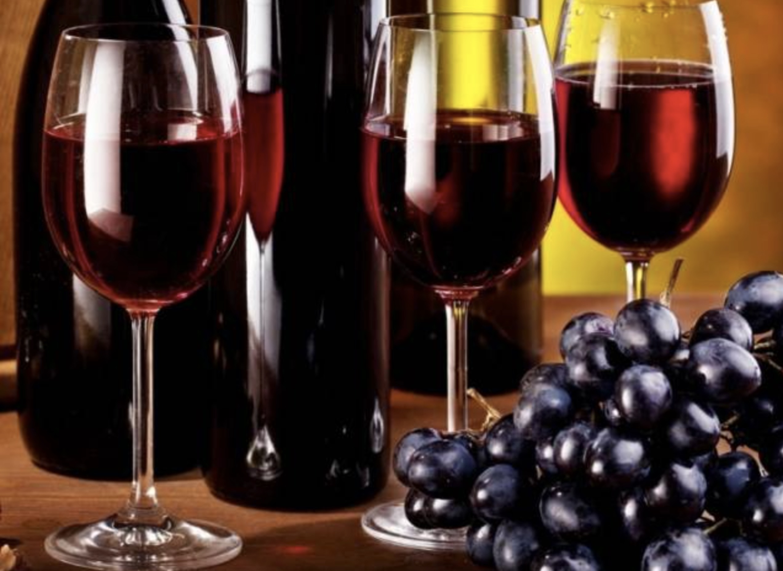 世界最古老的六家优美酿酒古堡，葡萄酒小白需知
