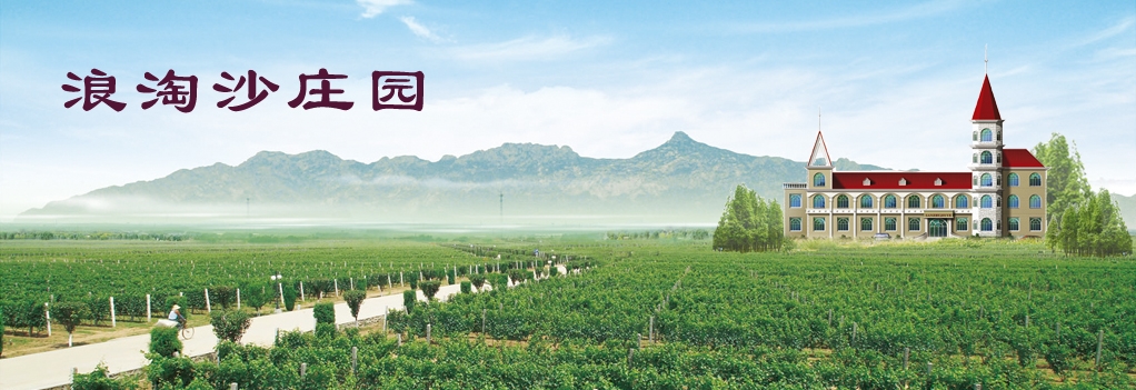 浪淘沙酒业（Langtaosha Wine）——中国第一瓶干红葡萄酒的生产地