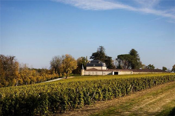 孔蒂诺酒庄，具有种植优质葡萄经验