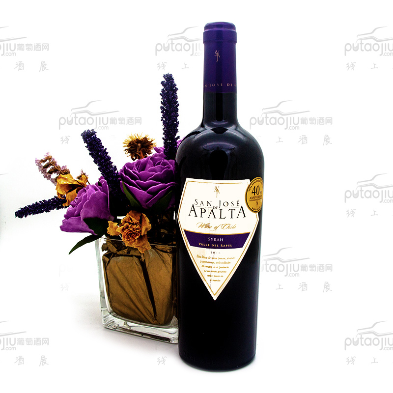 智利拉佩尔谷圣何塞阿帕塔西拉品种级干红葡萄酒