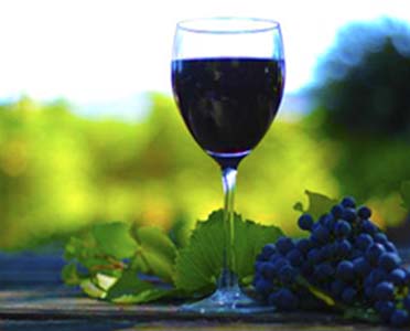 低产量的葡萄就一定能酿好酒了？你相信吗？