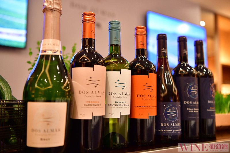 意大利卓林葡萄酒公司智利新品牌双魄登陆中国市场