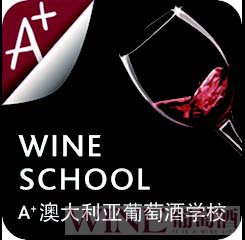 A+葡萄酒课程“升级”