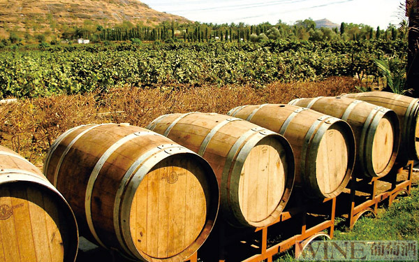 印度小型葡萄酒庄面临破产危机