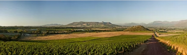 “醉人”开普敦：南非最南端的诱惑--天阶美酒美景