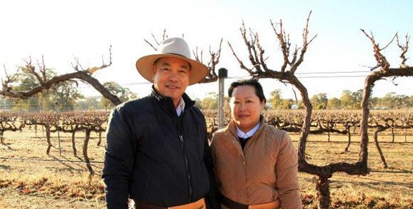 华裔夫妇在澳洲种植葡萄，深受外国游客欢迎