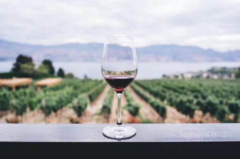解读法国葡萄酒文化 你应该知道的葡萄酒知识