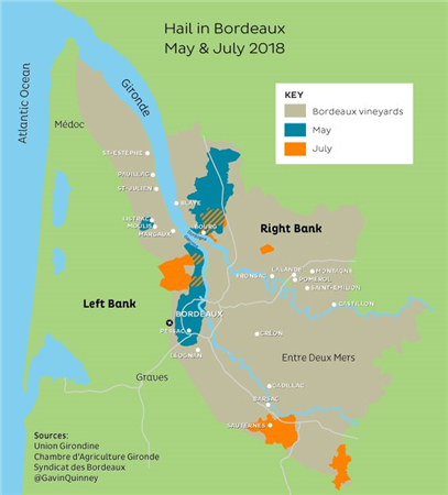 2018年波尔多葡萄园采收或喜忧参半