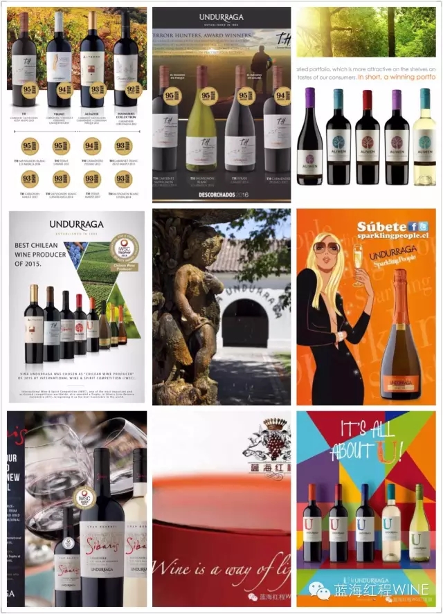 蓝海红程代理的多家名庄已被选入《2016-2017年贝丹德梭葡萄酒年鉴》
