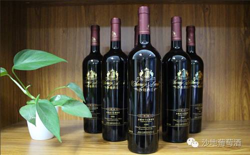 葡萄故乡丨沙地酒庄：葡萄酒是种出来的！