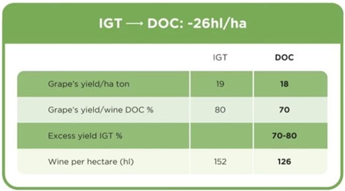 意大利德拉威尼斯产区停止出产IGT级别灰皮诺葡萄酒
