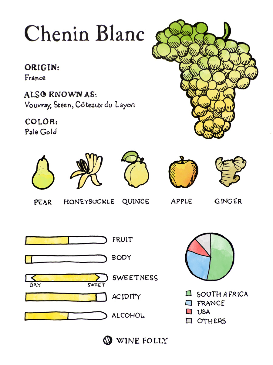 全面了解白诗南这个葡萄品种！