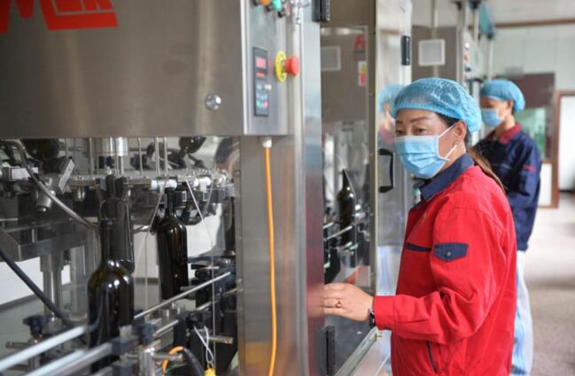 宁夏贺兰山东麓产区 葡萄酒产业成为当地增收富民的主导产业