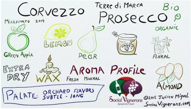 普洛赛克(Prosecco)葡萄酒完整的信息图表