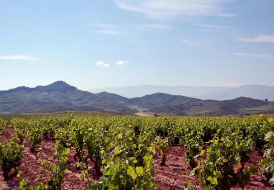 西班牙里奥哈的三个葡萄酒分区有什么不同？