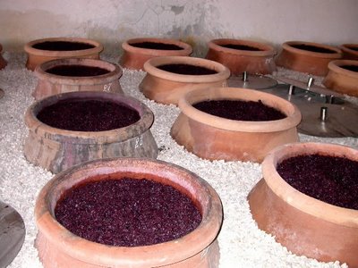 干红葡萄酒是怎么酿造的？干红葡萄酒的酿造步骤