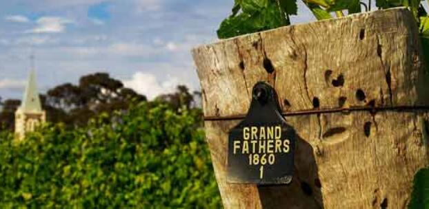 澳大利亚最贵的葡萄酒价格排行榜 10大澳大利亚西拉子葡萄酒