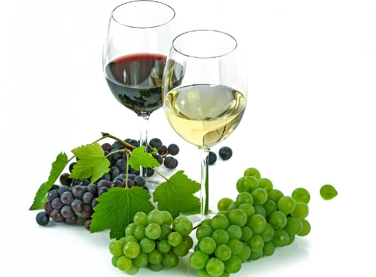 红葡萄酒和白葡萄酒的区别 哪个更好呢？
