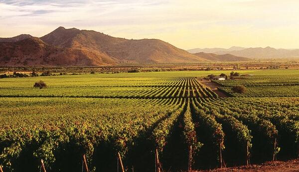 智利的葡萄酒产区主要有哪些？