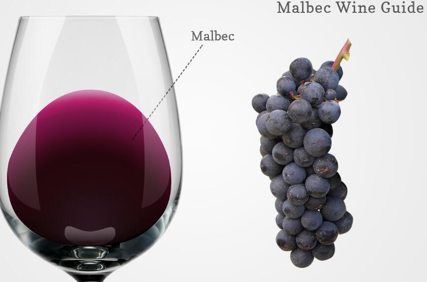 什么是马尔贝克葡萄酒？