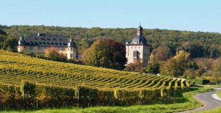 关于德国葡萄酒历史的惊人事实