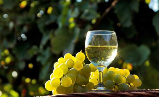 霞多丽葡萄酒和长相思葡萄酒之间的差异