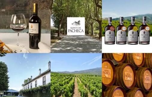 杜罗河名庄  葡萄牙总统最喜爱的美酒，将亮相11.9-11 Interwine