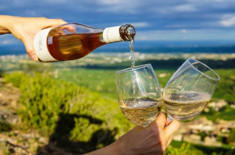 里奥哈葡萄酒的历史 走进西班牙里奥哈产区