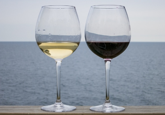 红葡萄酒和白葡萄酒：你应该选择哪一种？