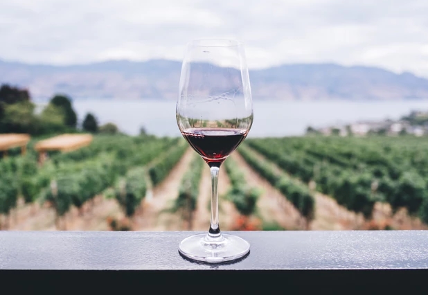 了解酿酒葡萄品种 葡萄酒种类有什么？
