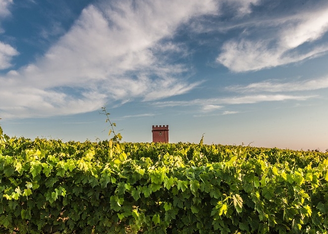 意大利葡萄酒和葡萄酒产区
