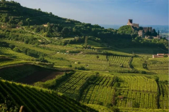 意大利Soave葡萄园成为世界农业遗产