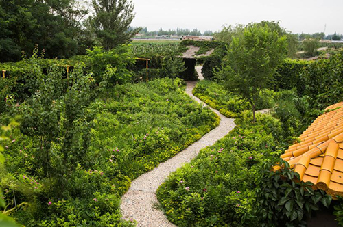 蓝鼎川塞酒庄（L.D Chuansai Vineyard）