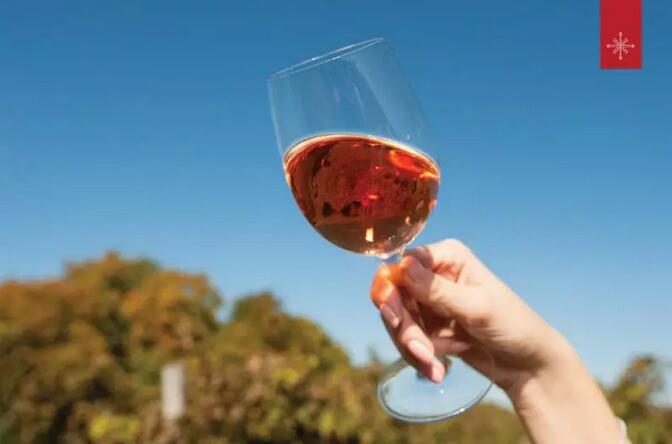 【获奖酒高端品鉴+晚宴】带你体验一场关于摩尔多瓦葡萄酒的极致感官之旅