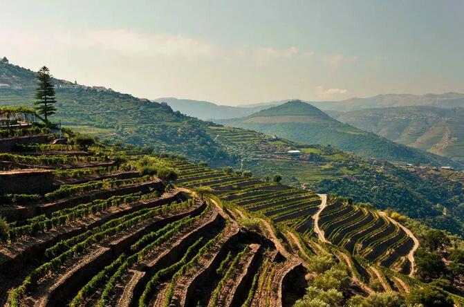 带你走进“一带一路”上的葡萄牙——葡萄酒王国