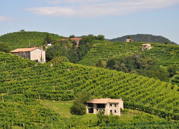 探索意大利最受欢迎的起泡酒之乡——普罗塞克